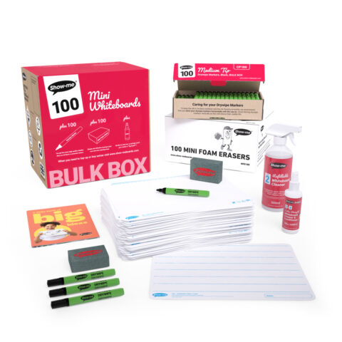 Landscape Lined Double-sided A4 Mini Whiteboards - 100, With Accessories