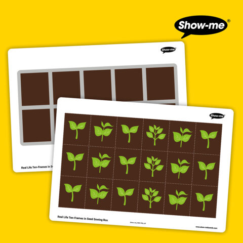 KS1 Real Life Ten-Frames Seed Sowing Box - Download
