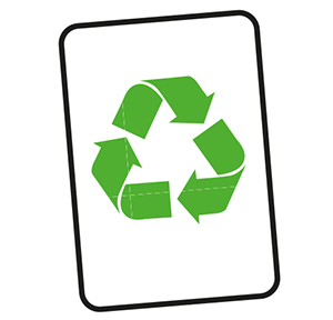 What is the DfE’s New Sustainability and Climate Change Policy?